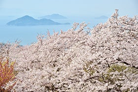 三木・加古川発
№9887 紫雲出山ハイキングツアー2